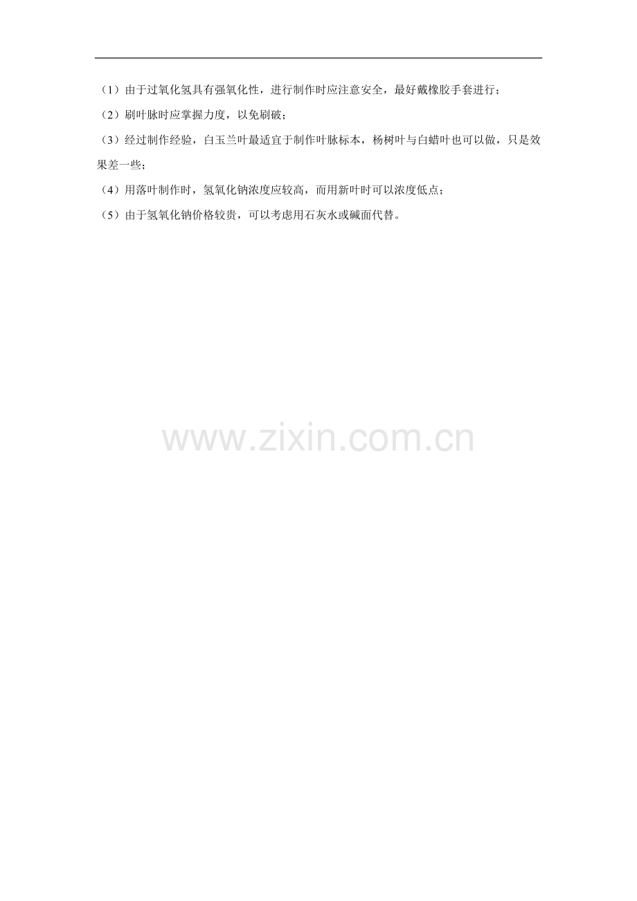 叶脉书签-1.doc_第2页