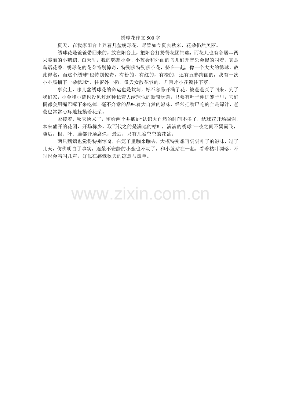 绣球花作文500字.doc_第1页