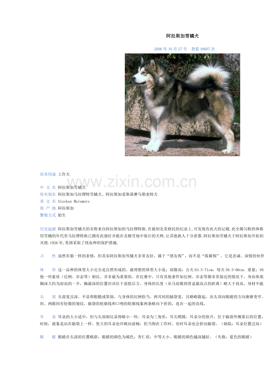 阿拉斯加雪橇犬3.doc_第1页