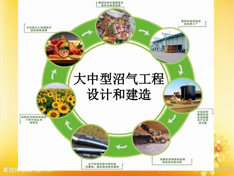 沼气工程—大中型沼气工程.ppt_第1页