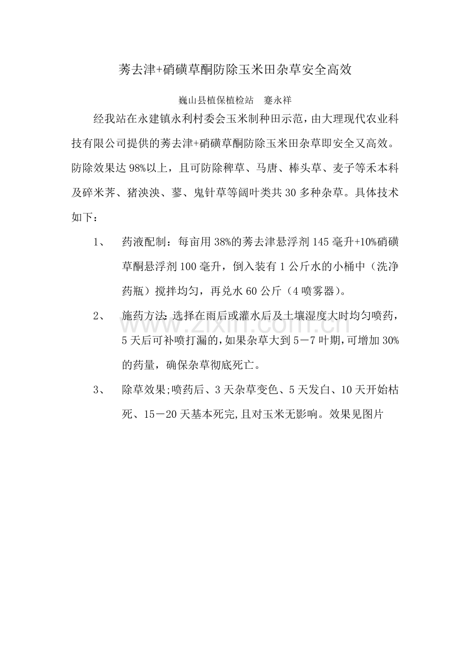 玉米除草有好药.doc_第1页