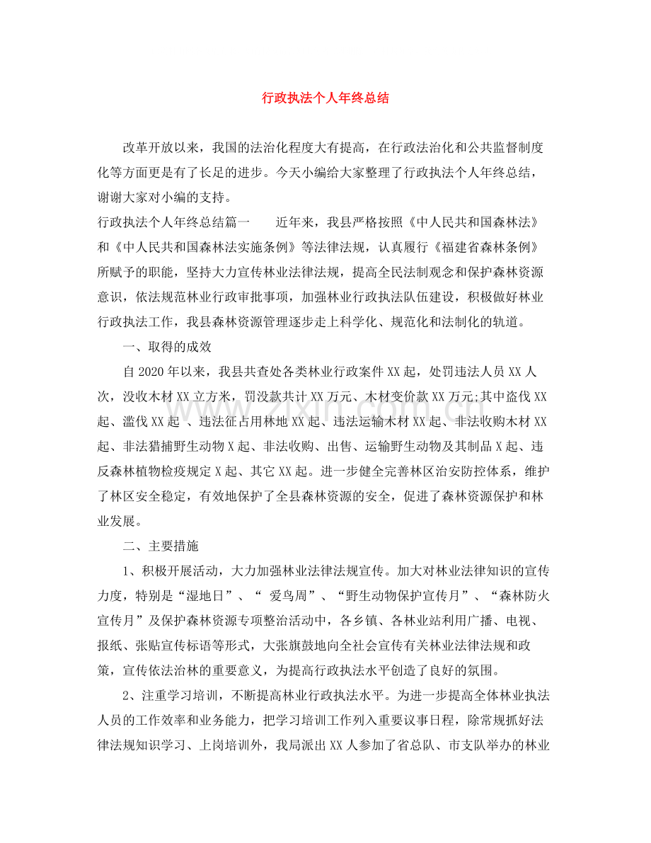 行政执法个人年终总结.docx_第1页