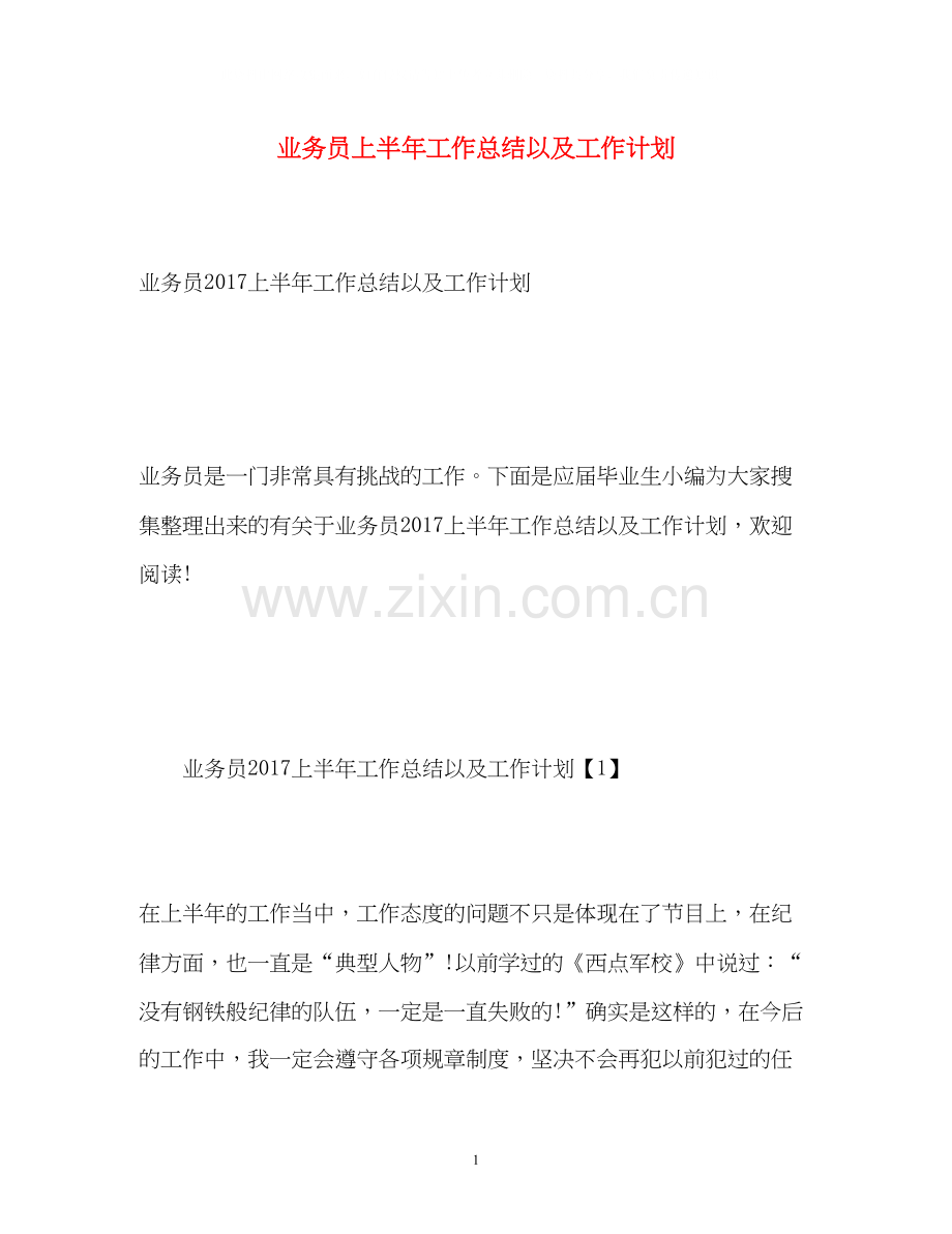 业务员上半年工作总结以及工作计划2.docx_第1页