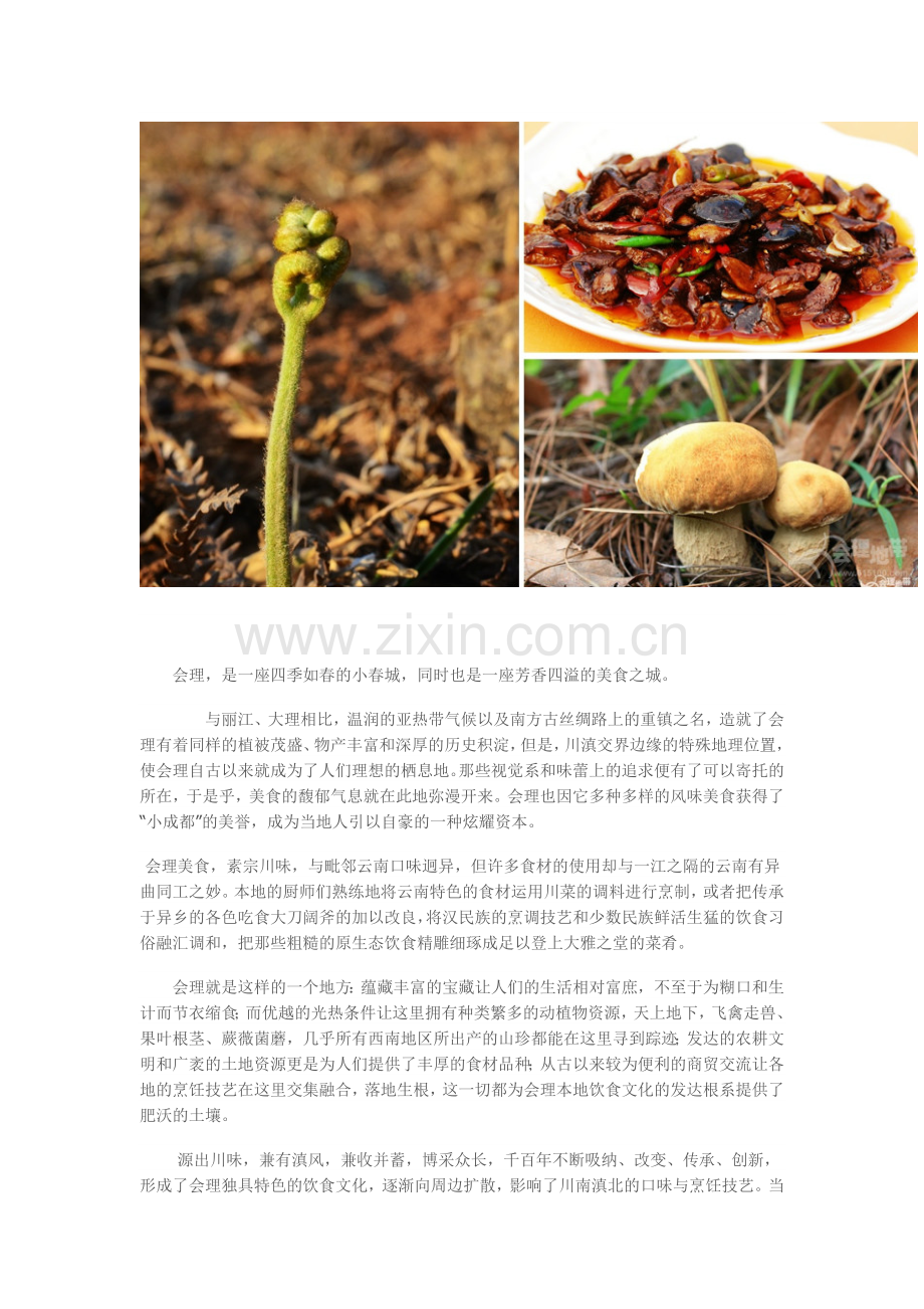 舌尖上的会理.doc_第2页