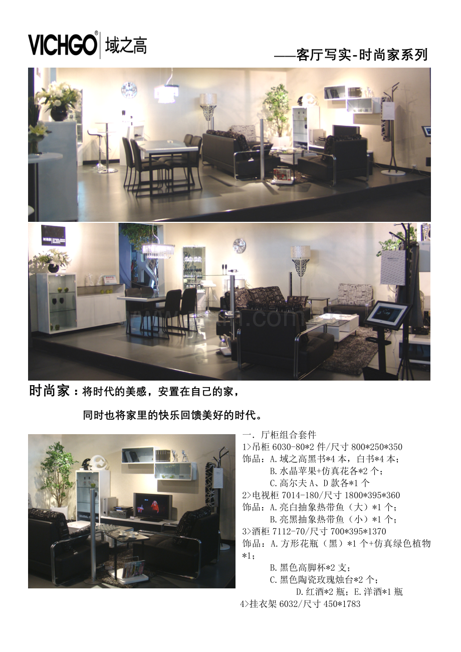 VICHGO客厅写实——时尚家系列.doc_第1页