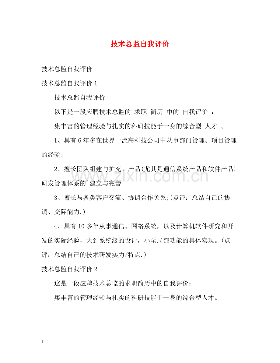 技术总监自我评价.docx_第1页