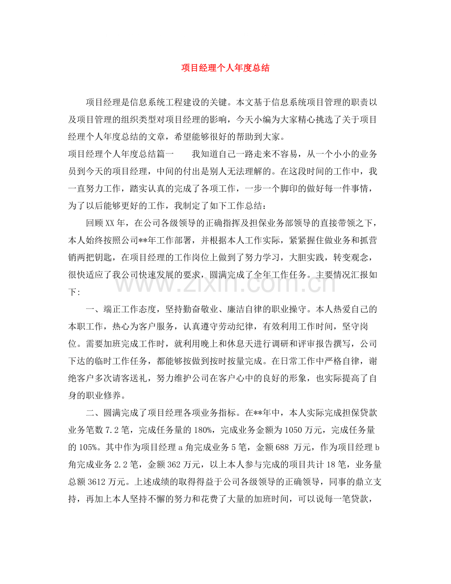 项目经理个人年度总结.docx_第1页