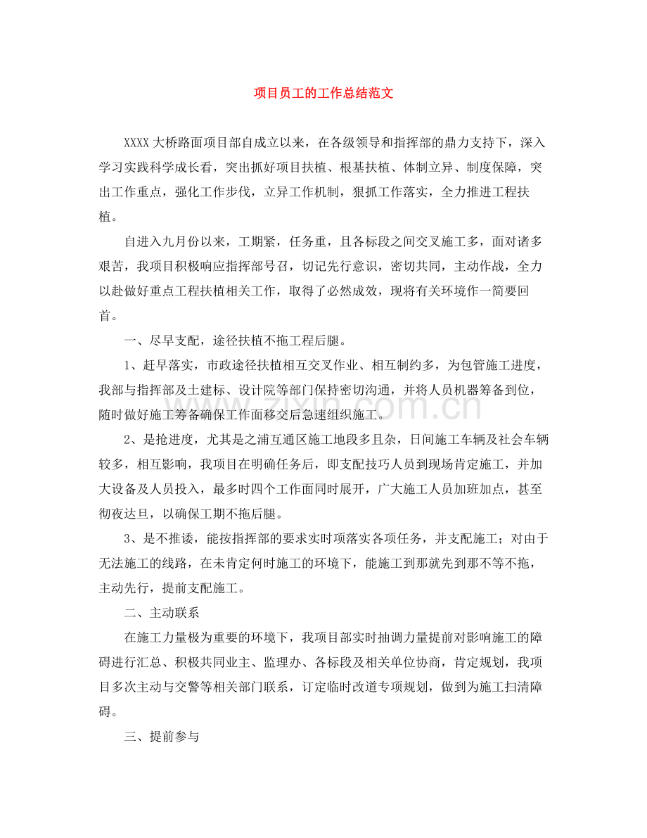 项目员工的工作总结范文.docx_第1页