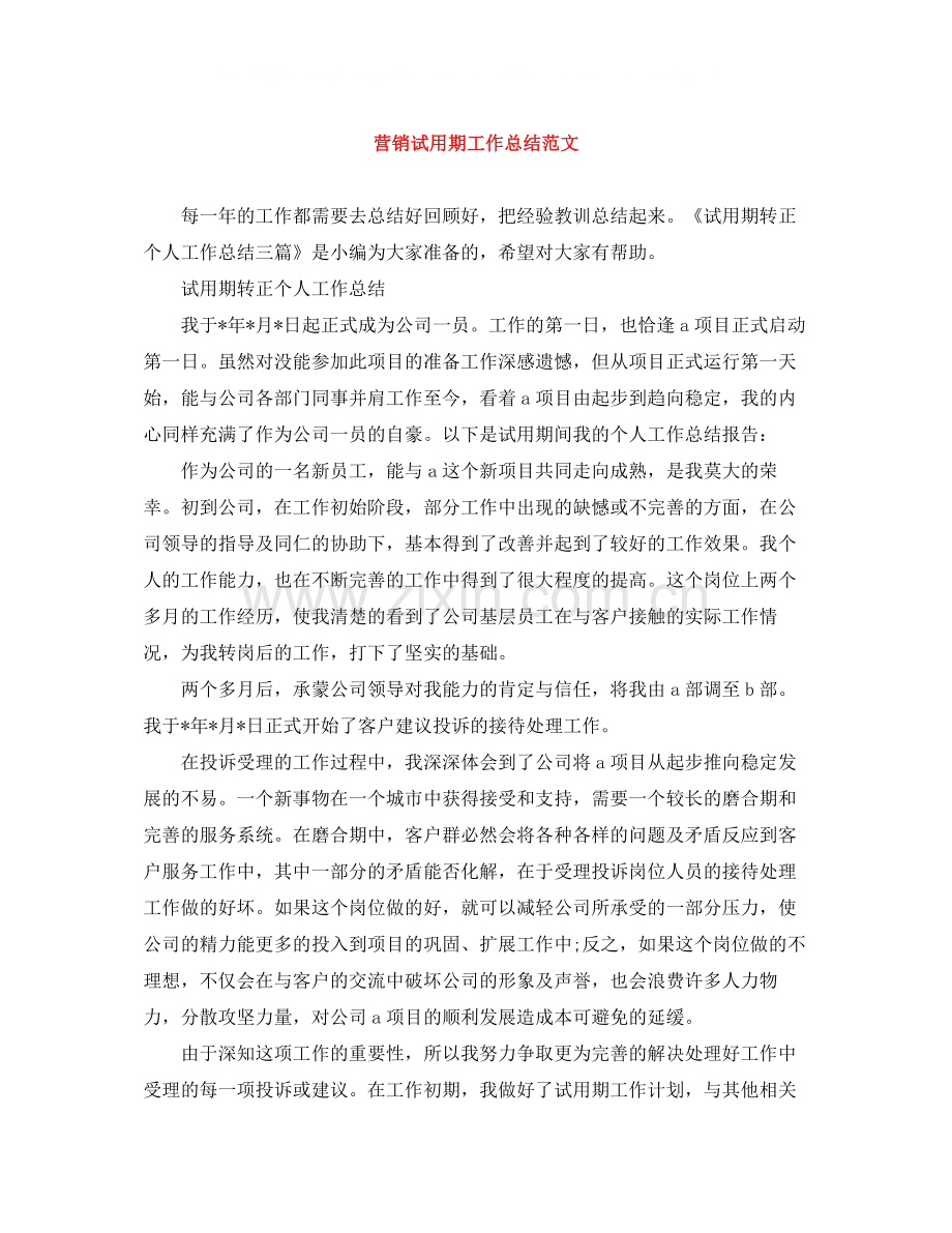 营销试用期工作总结范文.docx_第1页