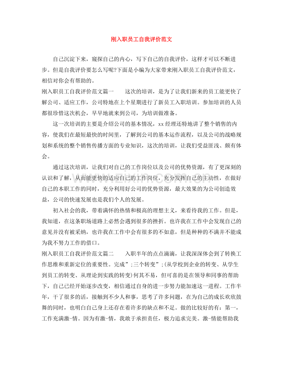 刚入职员工自我评价范文.docx_第1页
