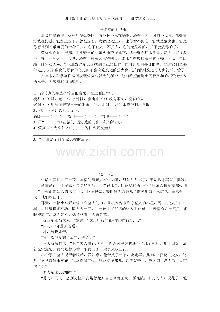 提灯笼的小飞虫.doc_第1页