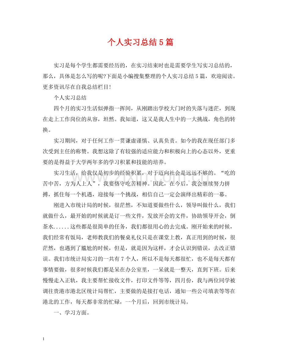 个人实习总结5篇.docx_第1页