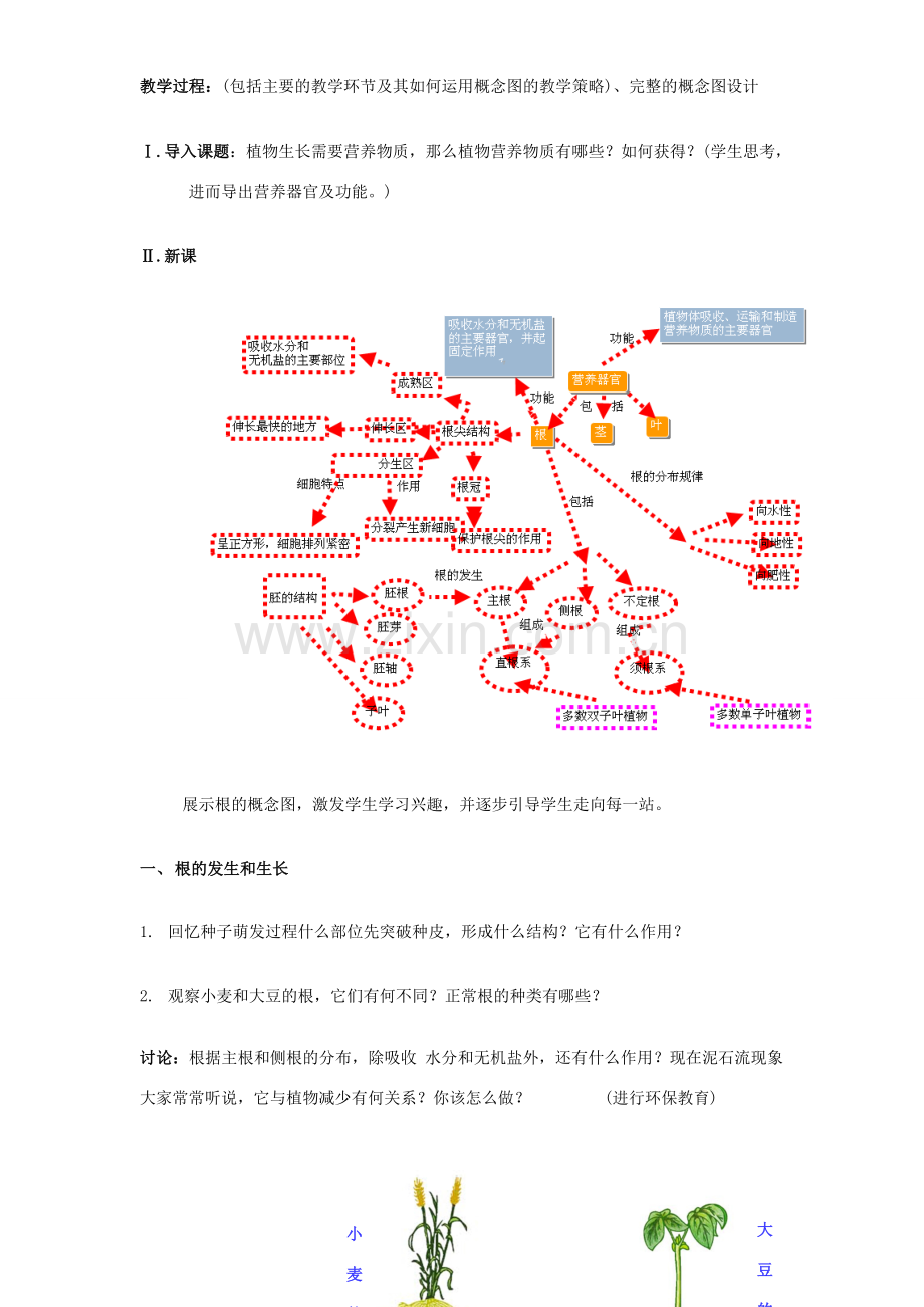 七年级生物上册 6.2 营养器官的生长教案1 北师大版.doc_第2页