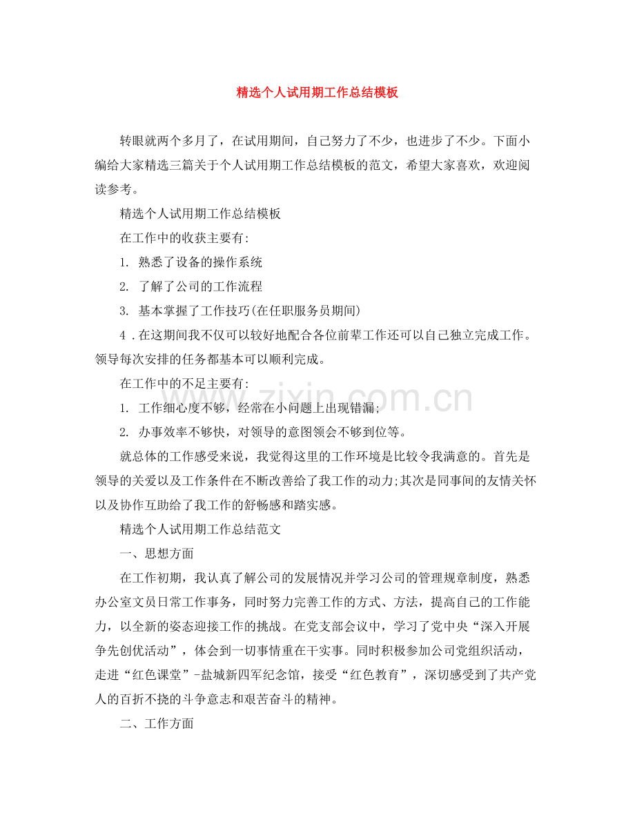 个人试用期工作总结模板.docx_第1页