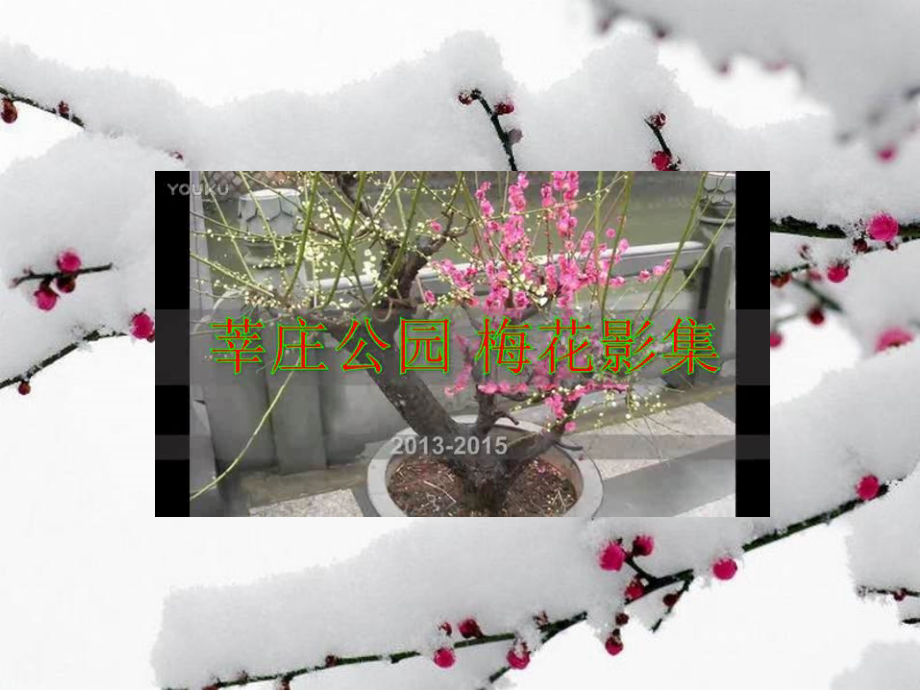 北师大版七年级下语文毛泽东诗卜算子咏梅-陆游卜算子咏梅比较阅.ppt_第2页