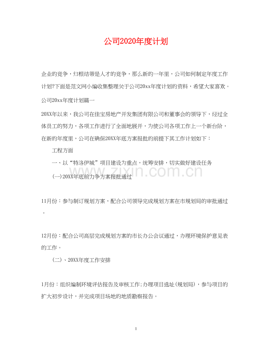 公司年度计划.docx_第1页