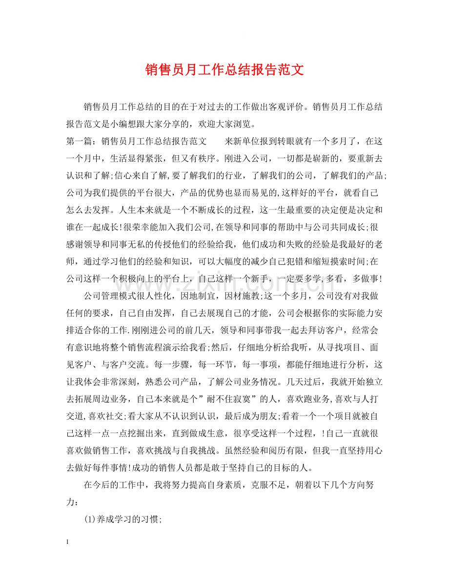 销售员月工作总结报告范文2.docx_第1页