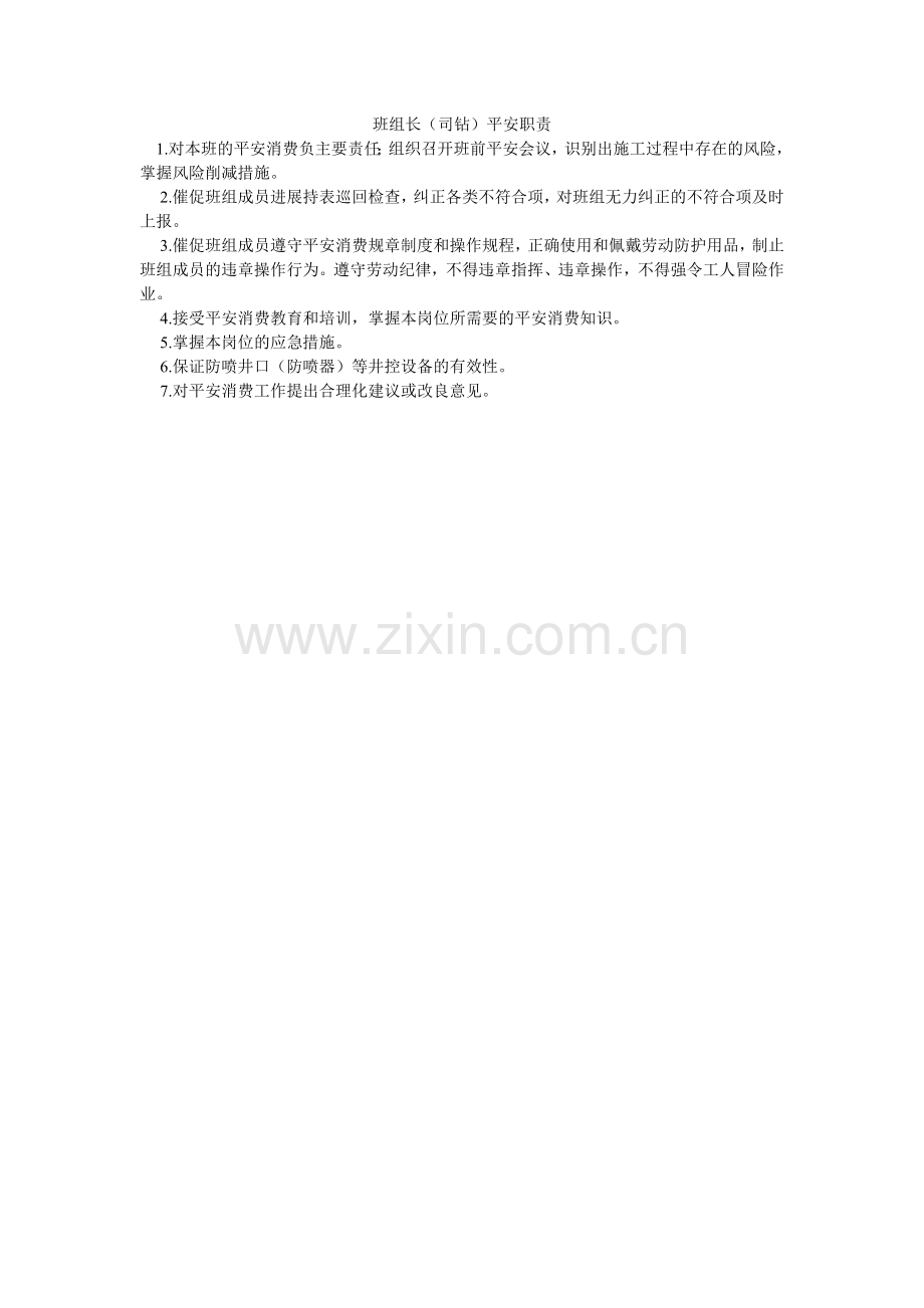 班组长（司钻）安全职责.doc_第1页