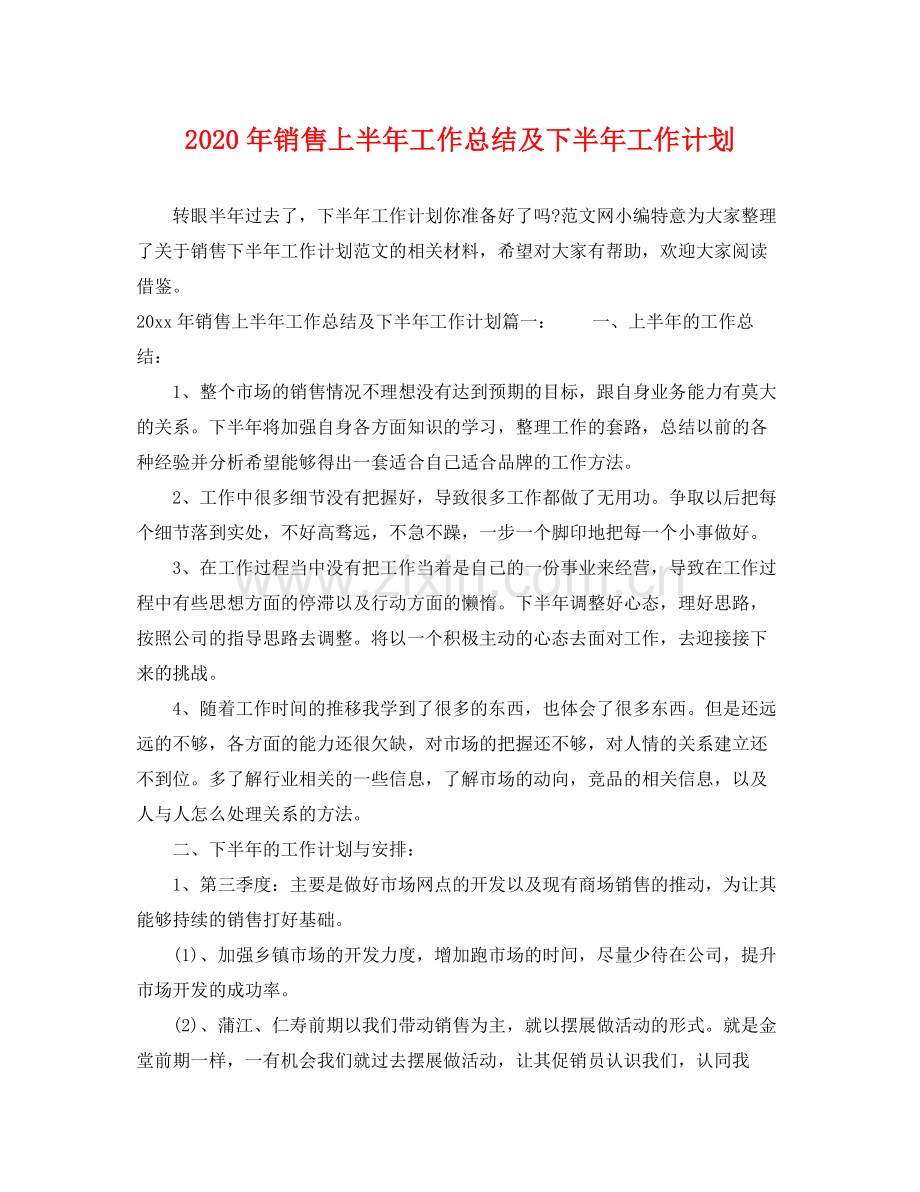 2020年销售上半年工作总结及下半年工作计划.docx_第1页