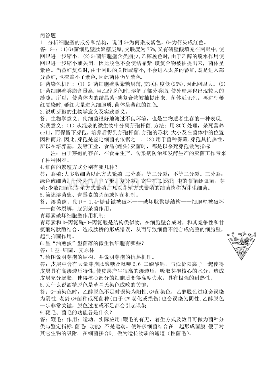 微生物简答.doc_第1页