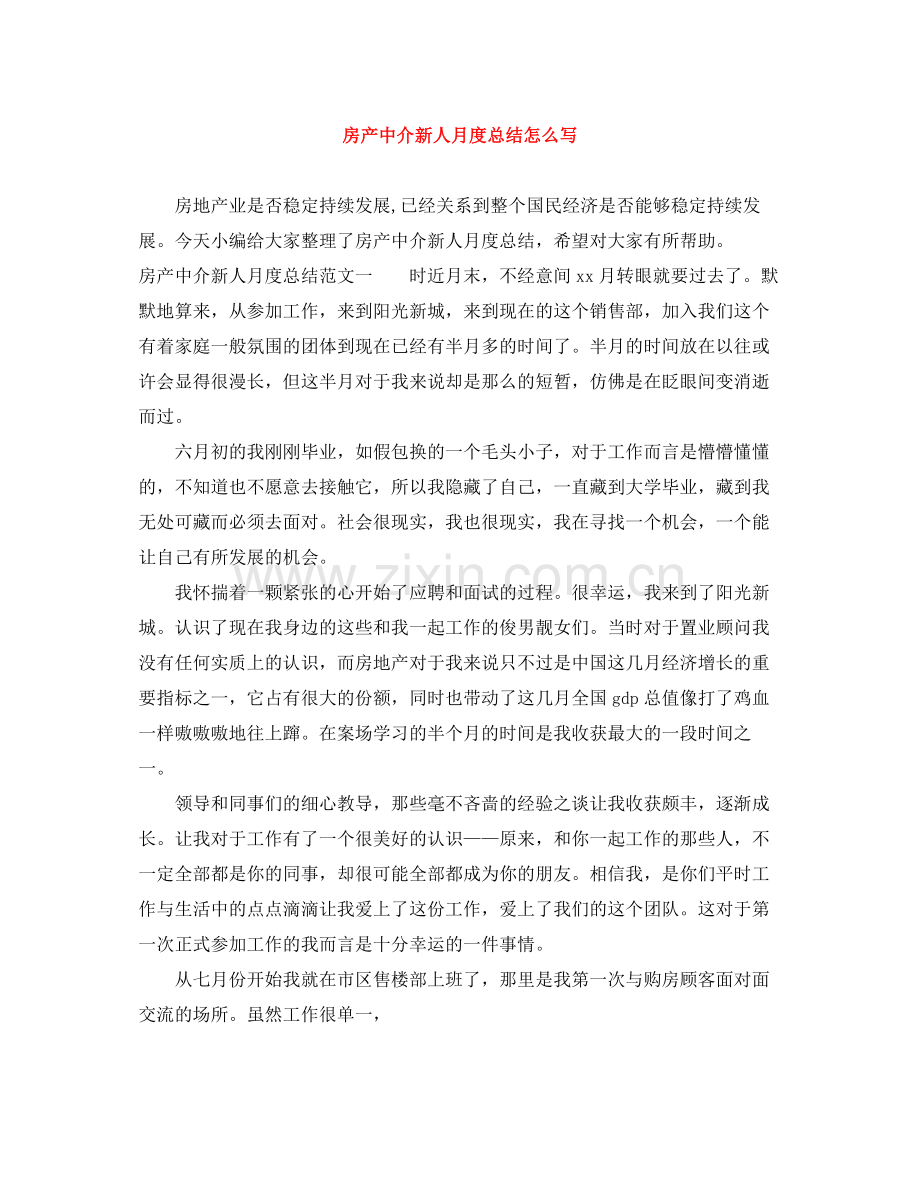 房产中介新人月度总结怎么写.docx_第1页