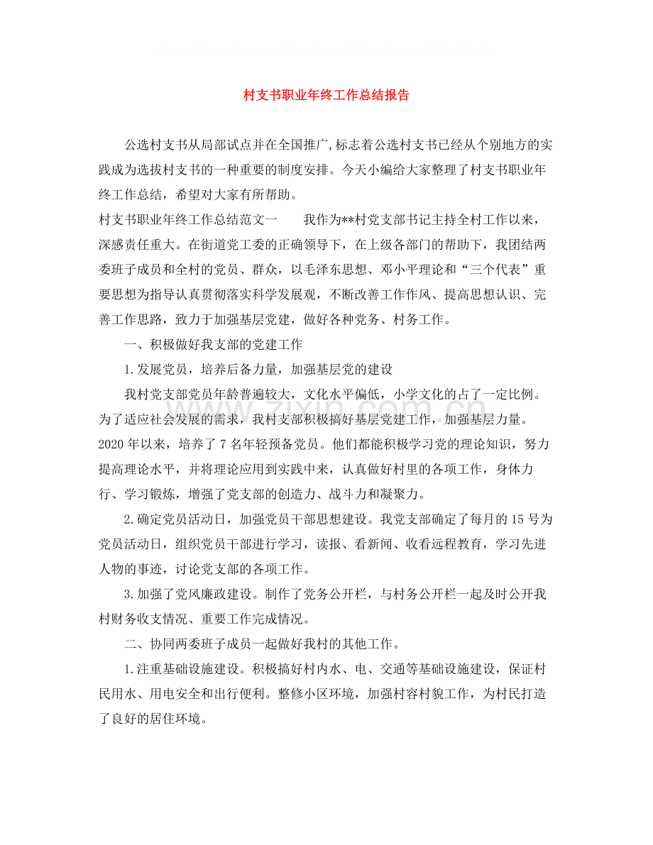 村支书职业年终工作总结报告.docx_第1页