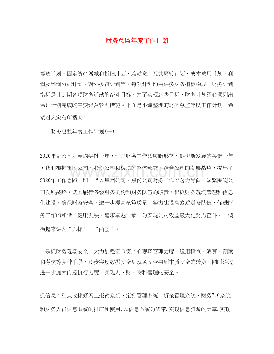 财务总监年度工作计划.docx_第1页