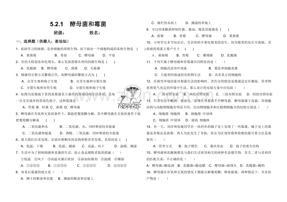 初二生物酵母菌及霉菌习题.doc_第1页