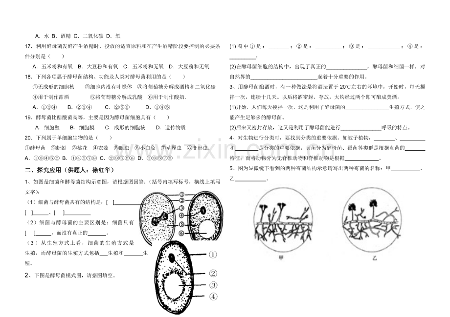初二生物酵母菌及霉菌习题.doc_第2页