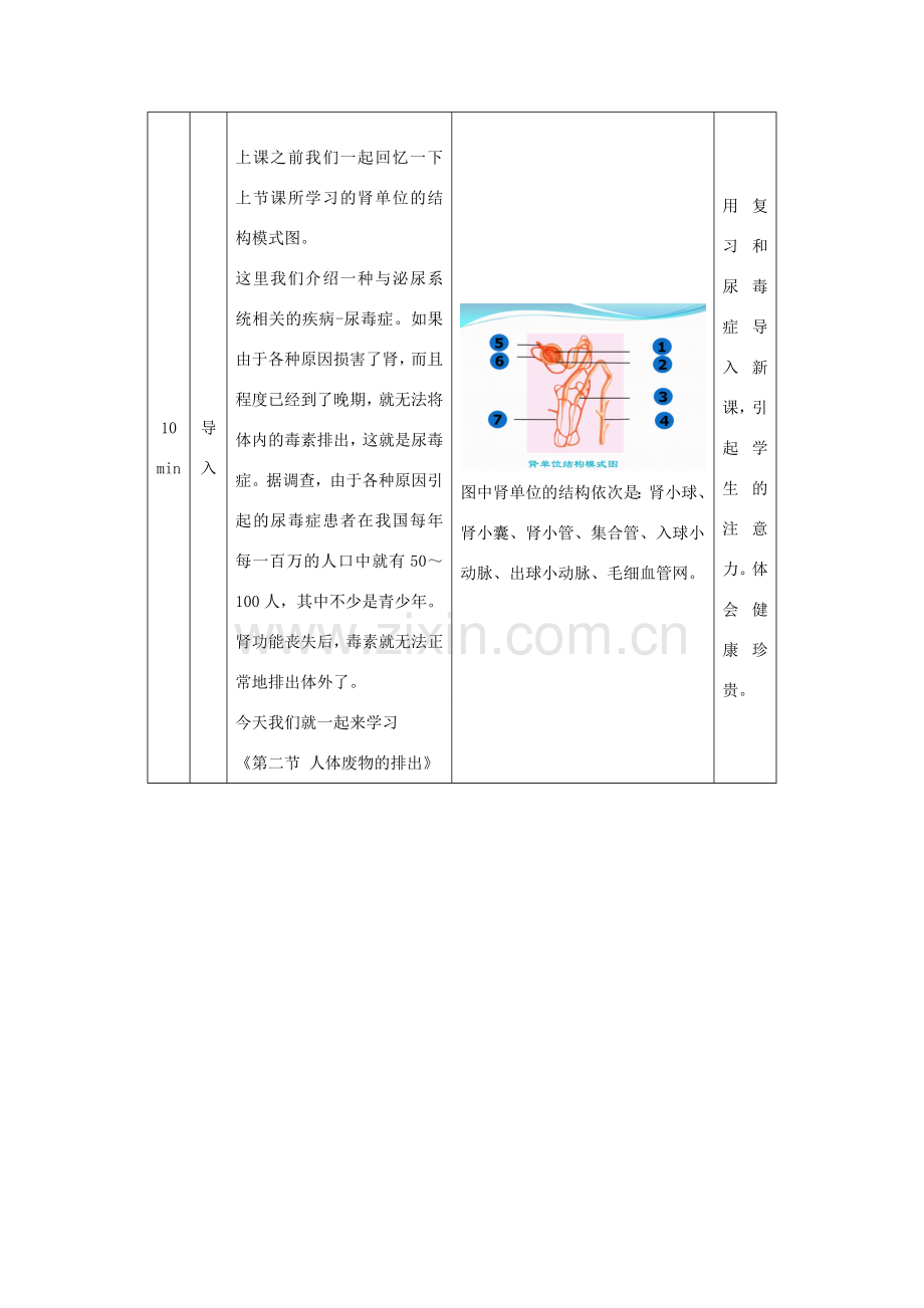 秋七年级生物下册 11.2 人体废物的排出教学设计 （新版）苏教版-（新版）苏教版初中七年级下册生物教案.doc_第2页