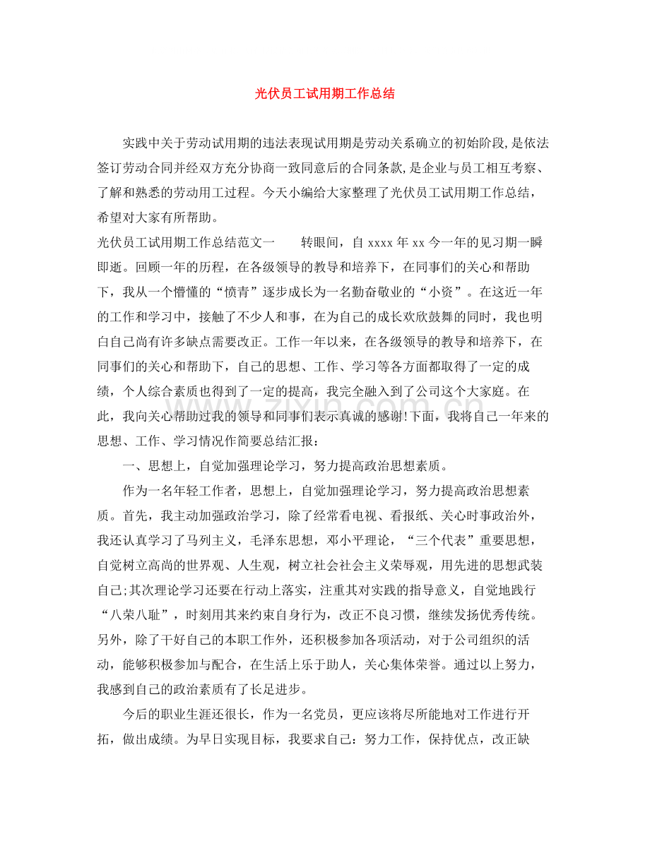 光伏员工试用期工作总结.docx_第1页