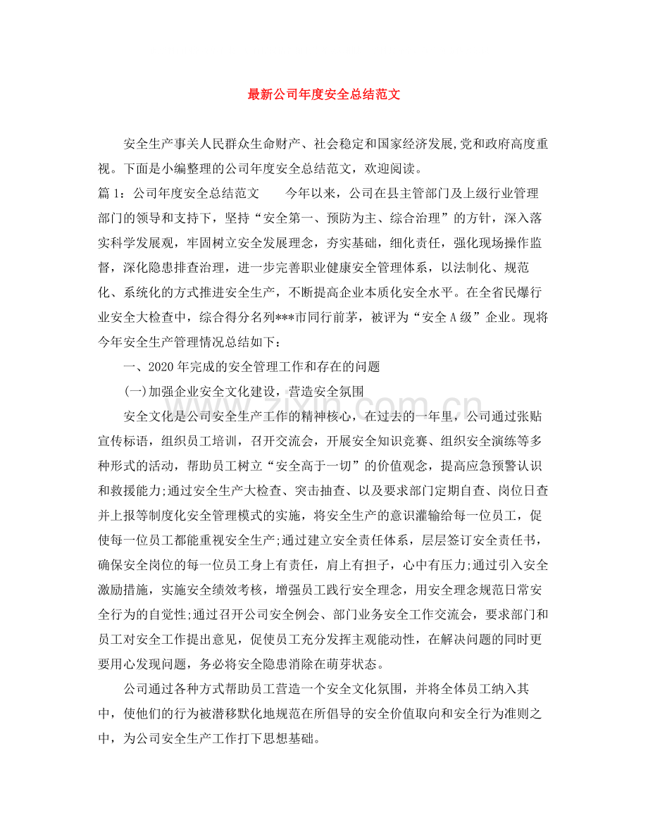 公司年度安全总结范文.docx_第1页