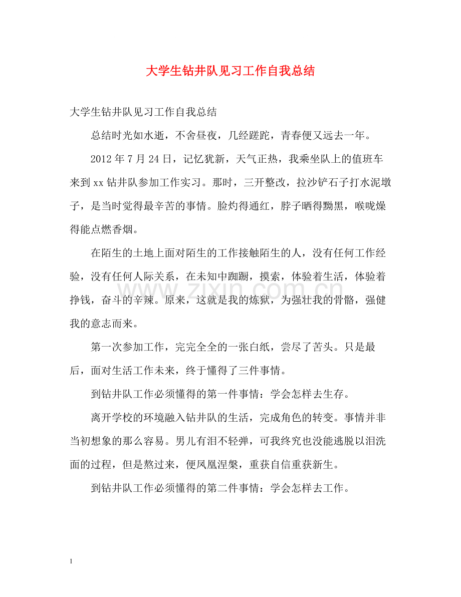 大学生钻井队见习工作自我总结.docx_第1页