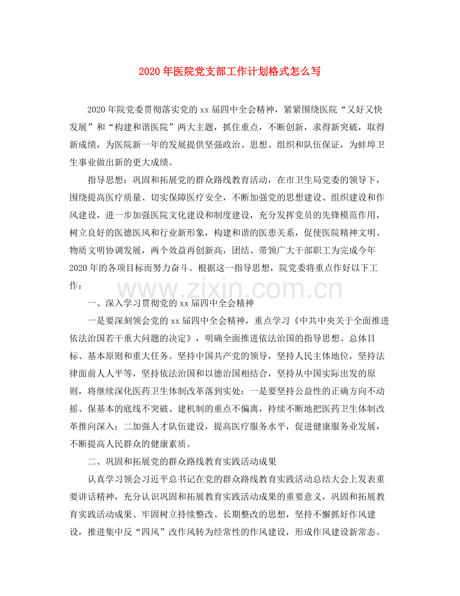 2020年医院党支部工作计划格式怎么写.docx_第1页