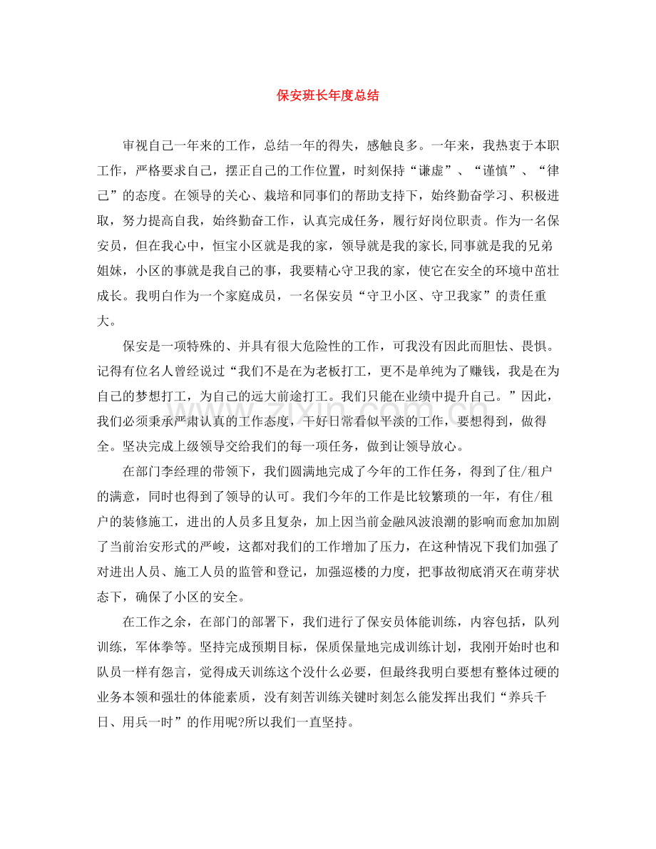 保安班长年度总结.docx_第1页
