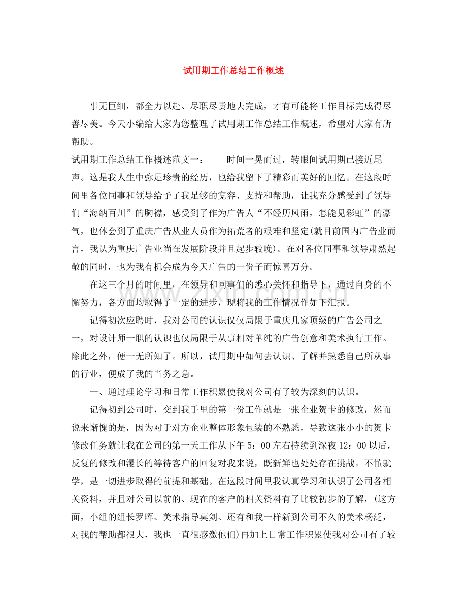 试用期工作总结工作概述.docx_第1页