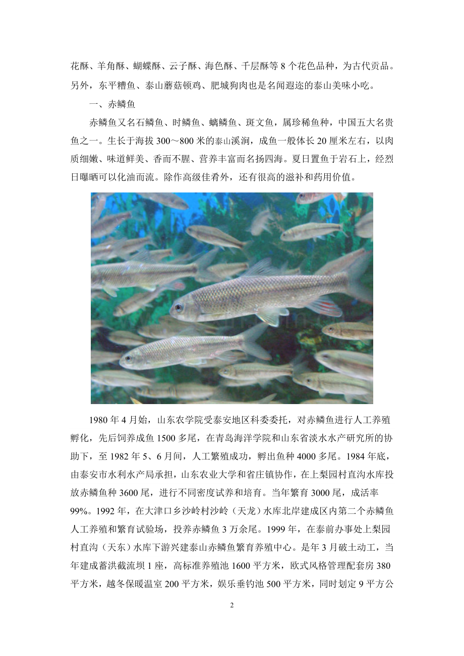 舌尖上的泰安0.doc_第2页