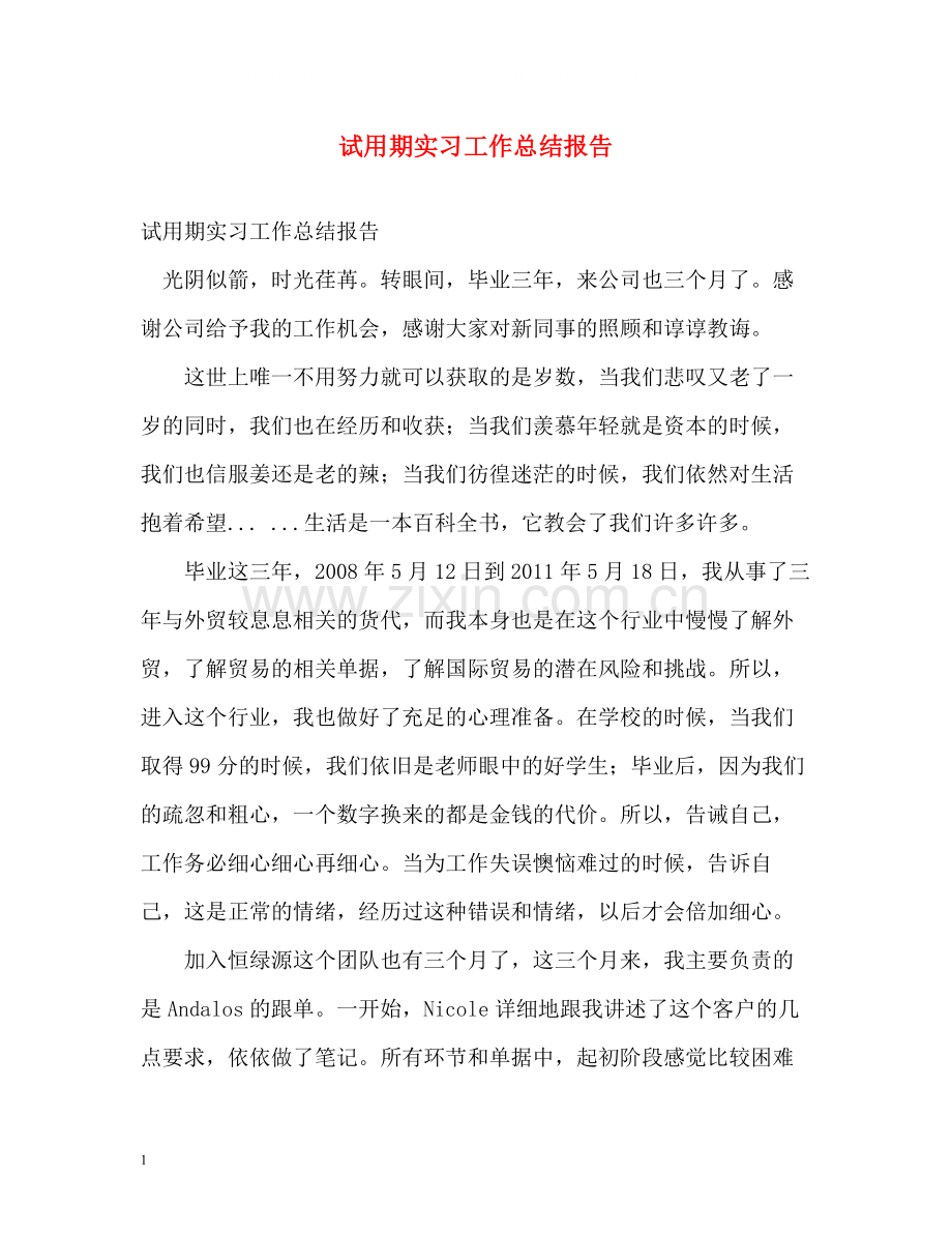 试用期实习工作总结报告.docx_第1页