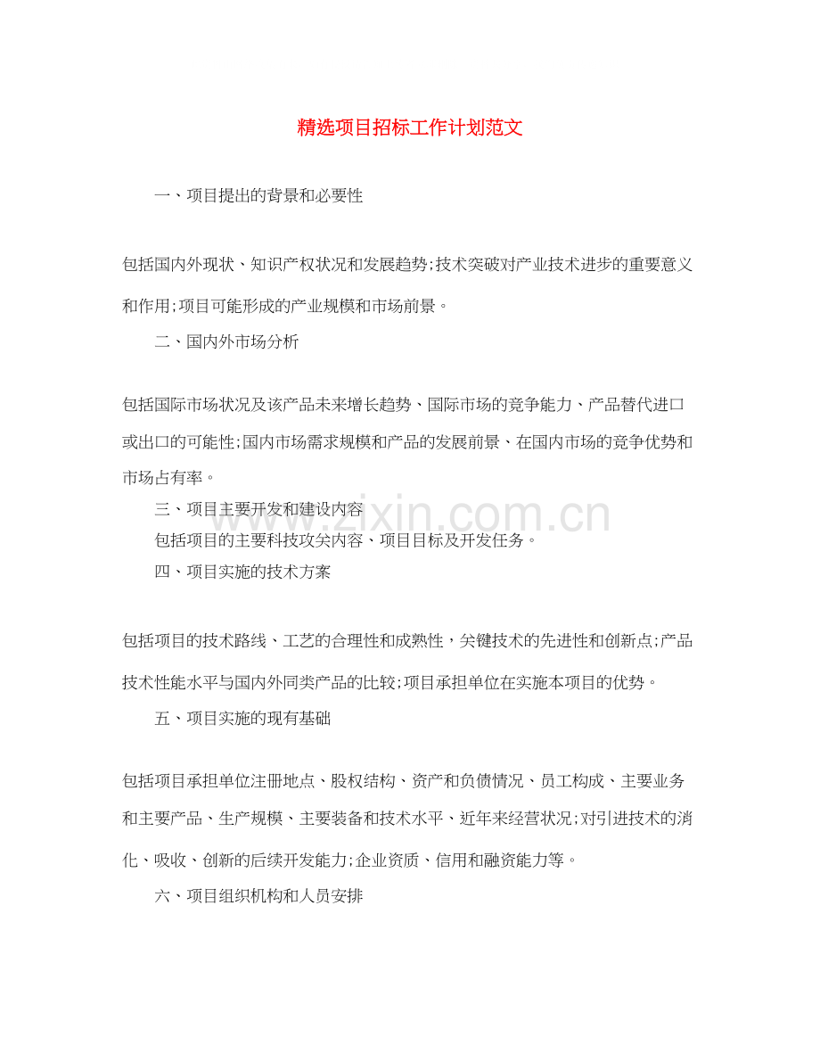 项目招标工作计划范文.docx_第1页