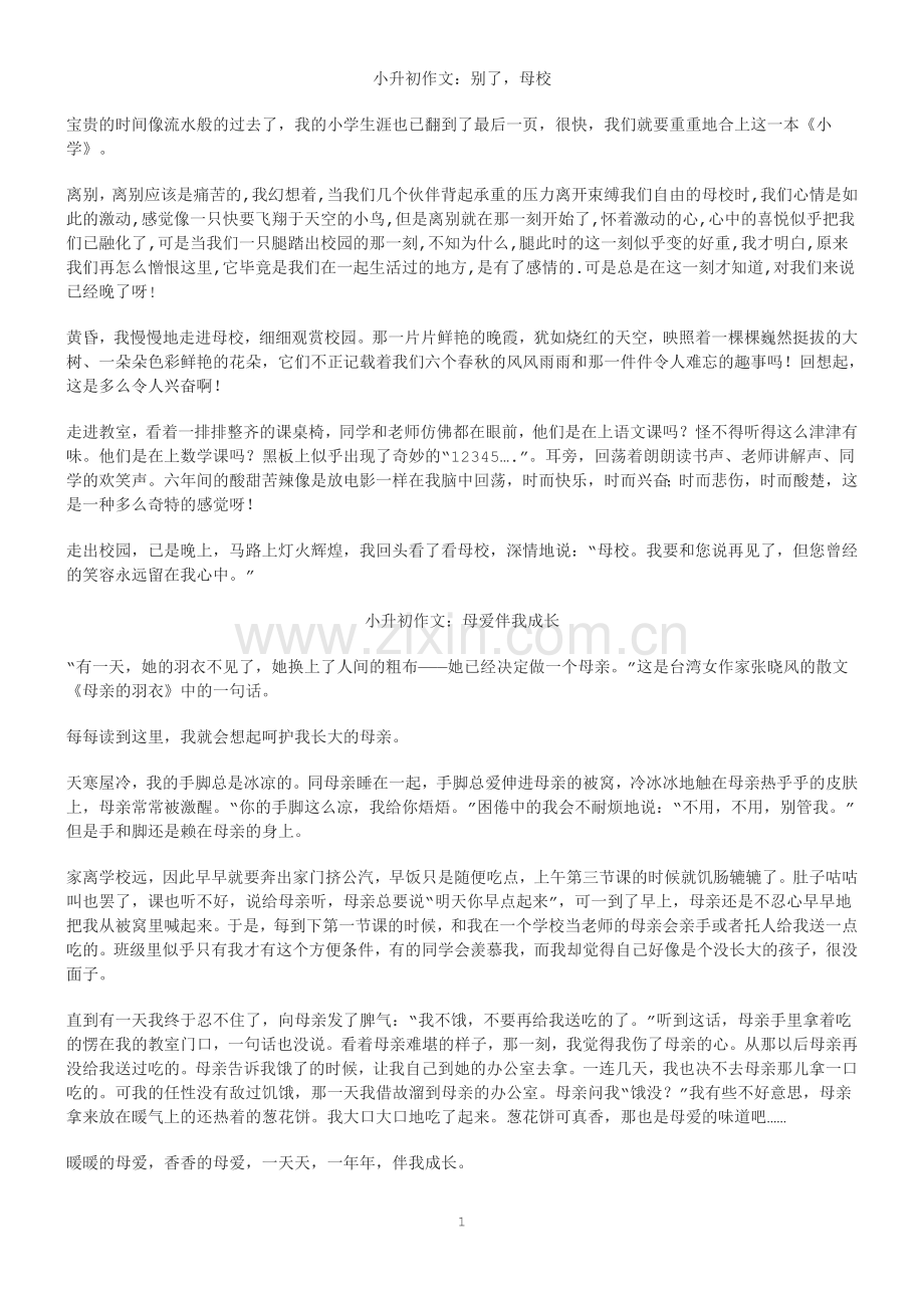 小升初的范文.doc_第1页