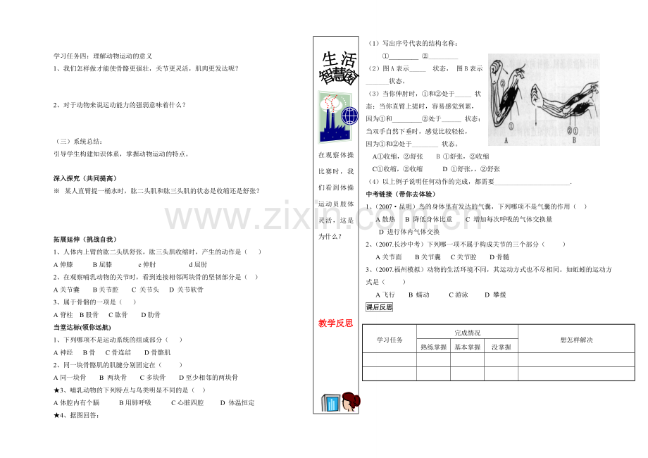 八年级生物上册 第二单元2.2动物的运动课件 人教新课标版 课件.doc_第2页