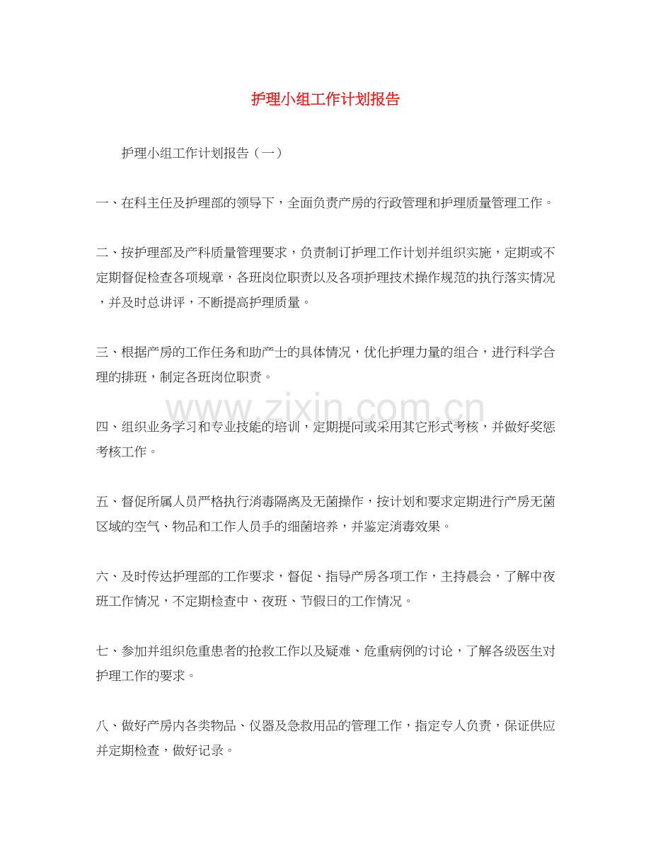 护理小组工作计划报告.docx_第1页