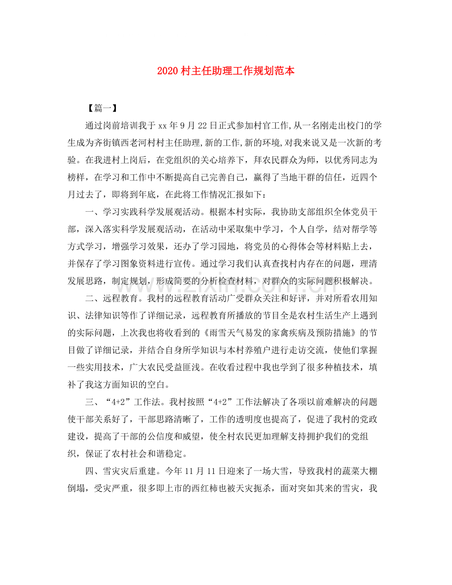 村主任助理工作规划范本.docx_第1页