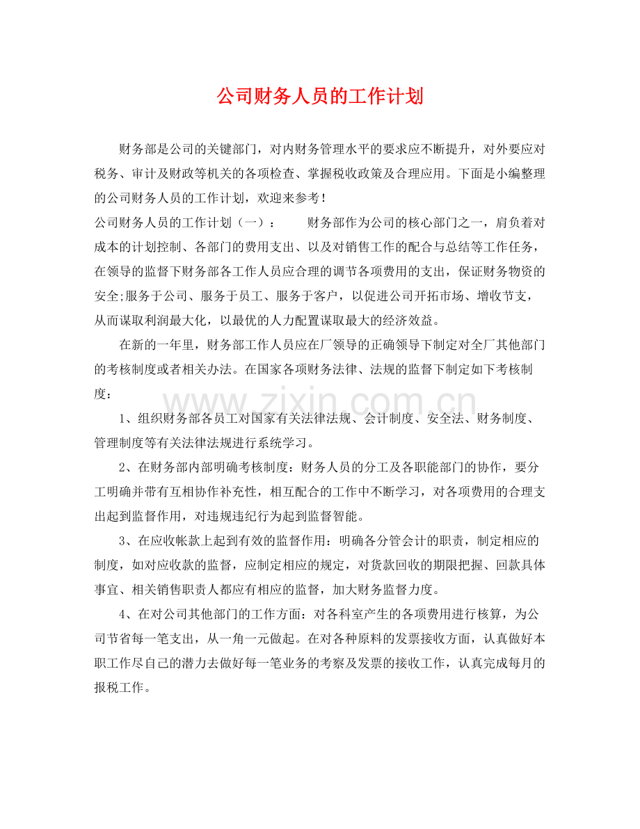 公司财务人员的工作计划 .docx_第1页