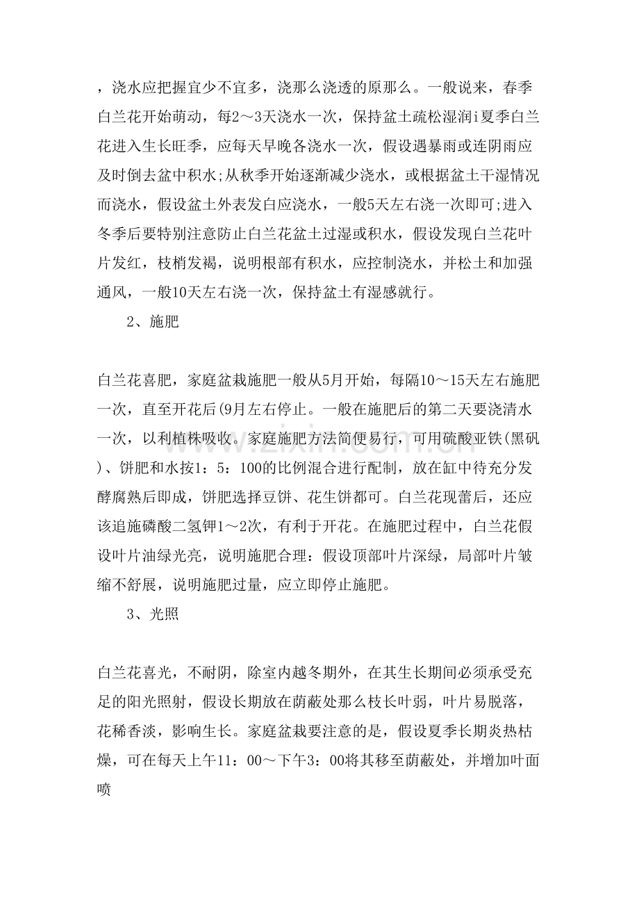 白兰花栽培管理方法.doc_第2页