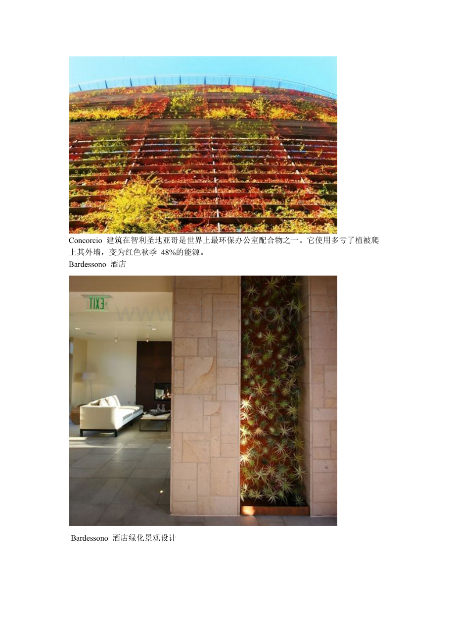 建筑物垂直绿化景观设计.doc_第2页