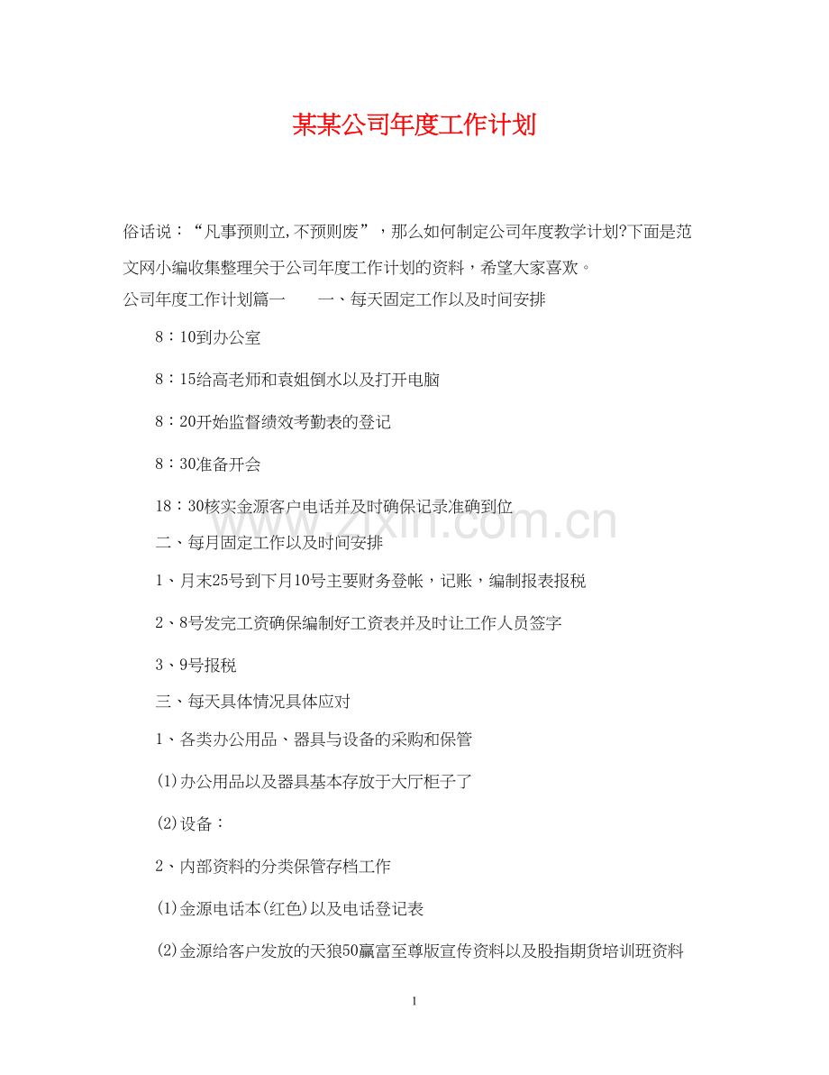 某某公司年度工作计划.docx_第1页