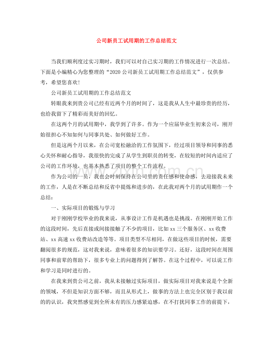 公司新员工试用期的工作总结范文.docx_第1页