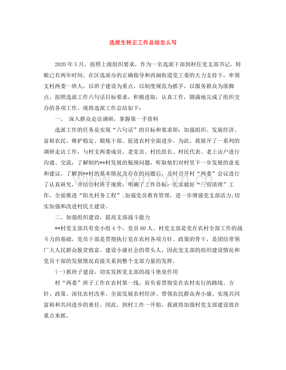 选派生转正工作总结怎么写.docx_第1页