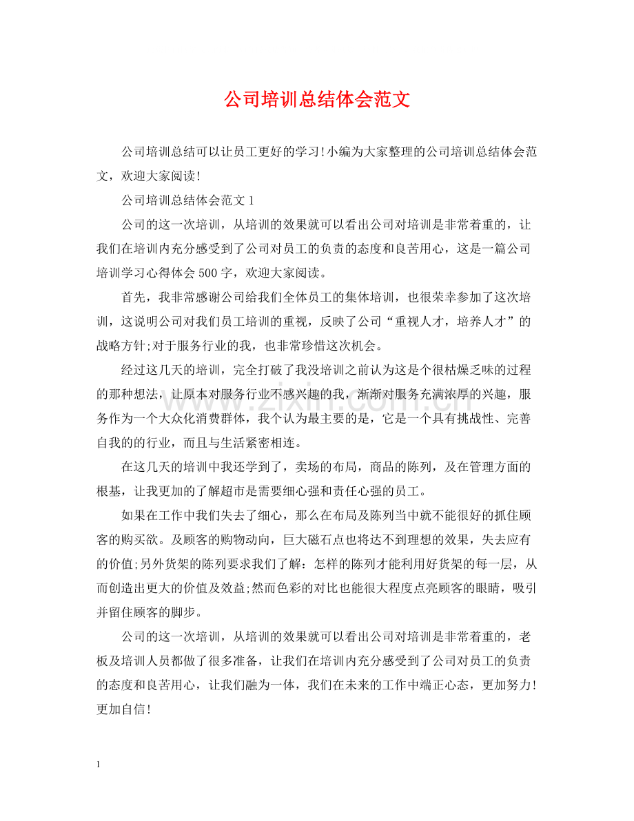公司培训总结体会范文.docx_第1页